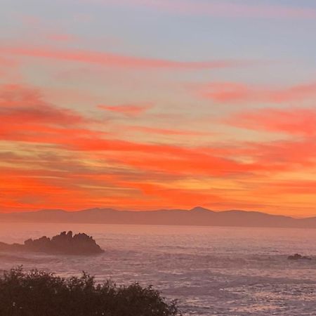 Hotel Boutique Ocean Views - Incorporating Wendy'S Hermanus Esterno foto